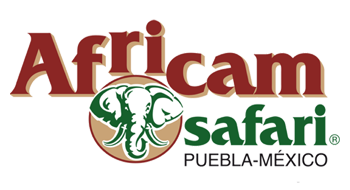 logo-africam