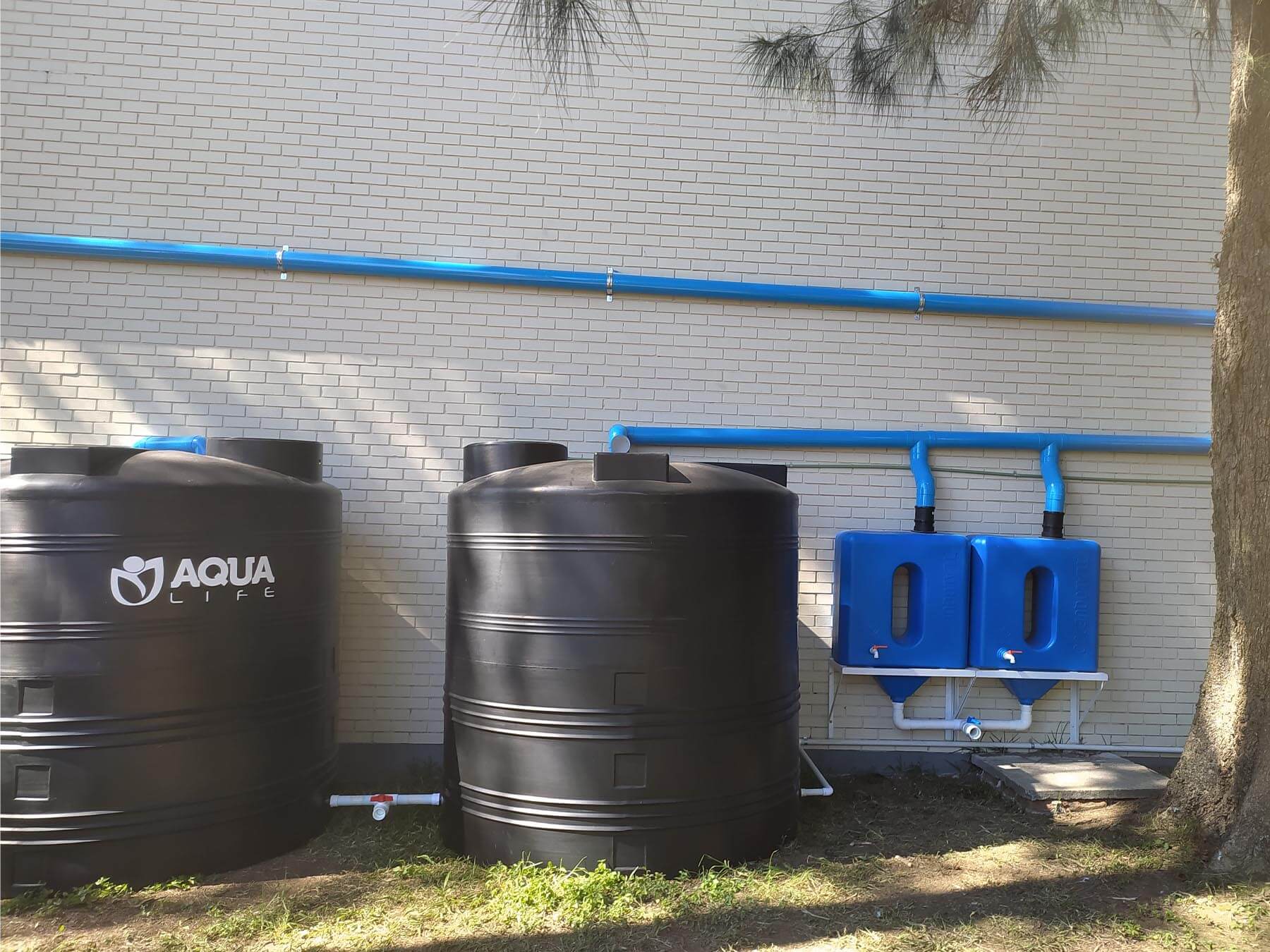 captarlluvia_Layer 4