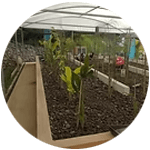 servicio de saneamiento